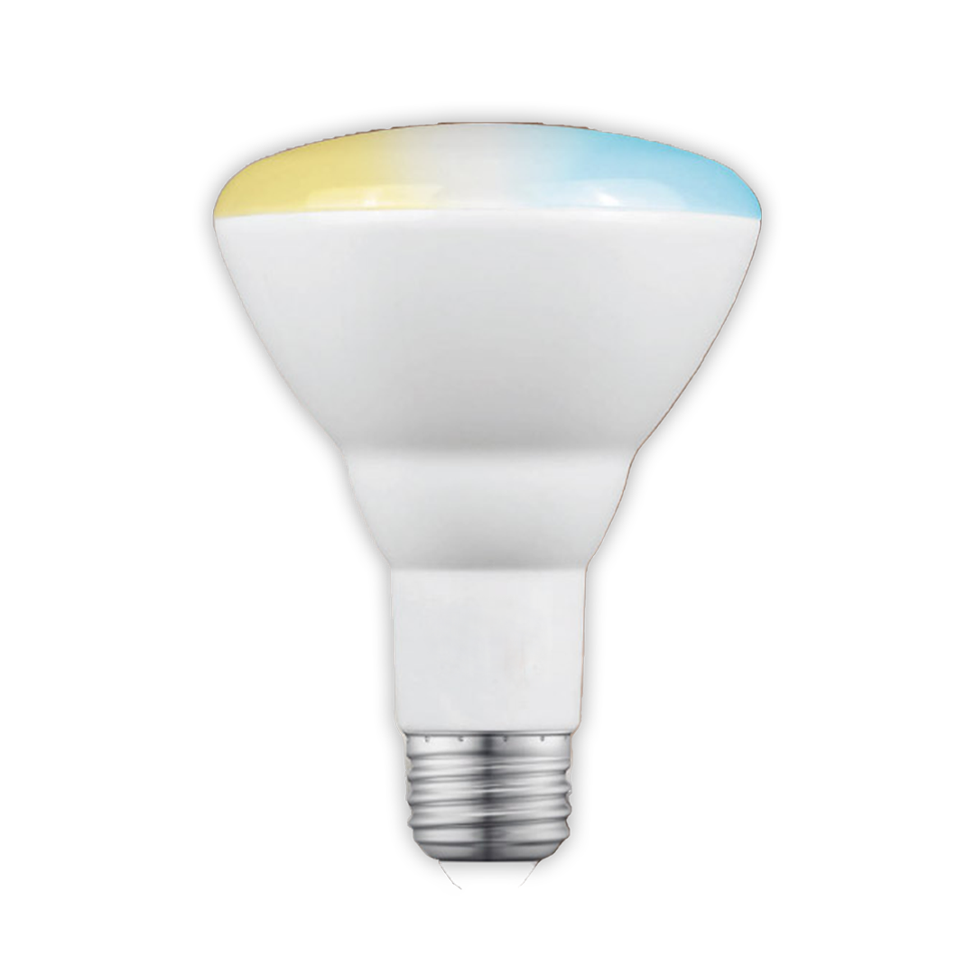 Smart Wi-Fi LED 110V - BR30 White