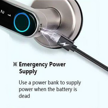 Load image into Gallery viewer, Beach House Smart Door Electronic Lock