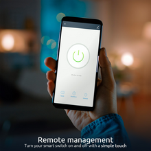 Load image into Gallery viewer, Beach House - Single Pole - Wi-Fi Light Switch