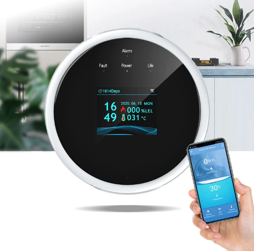 Beach House Wi-Fi Gas Leak Detector