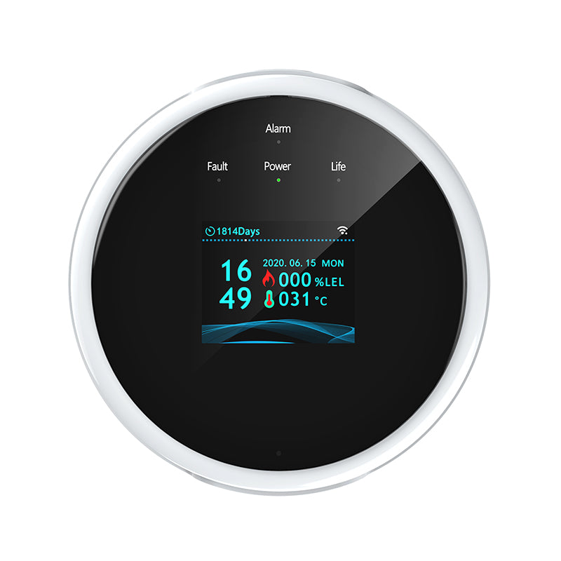 Beach House Wi-Fi Gas Leak Detector